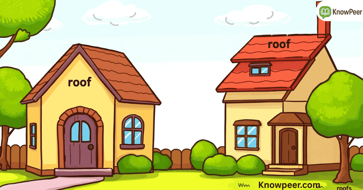 Plural of Roof