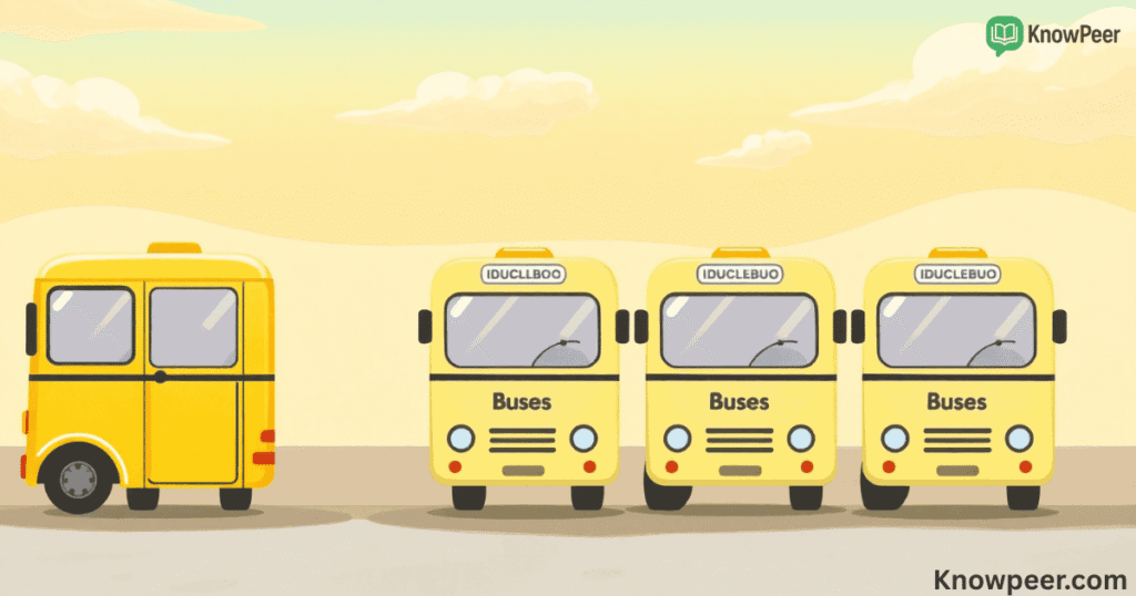 Plural of Bus