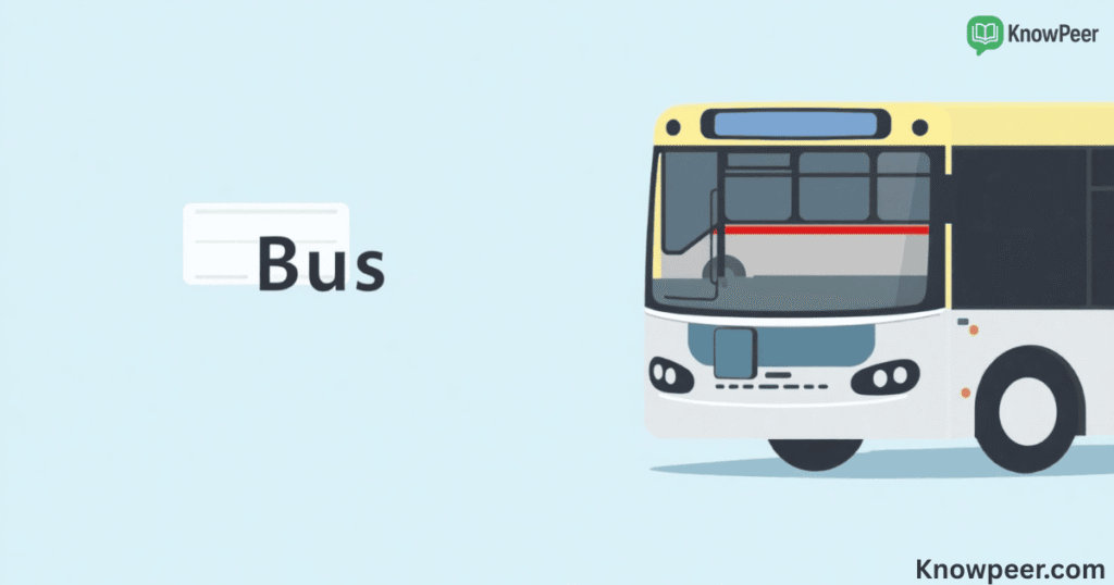 Plural of Bus