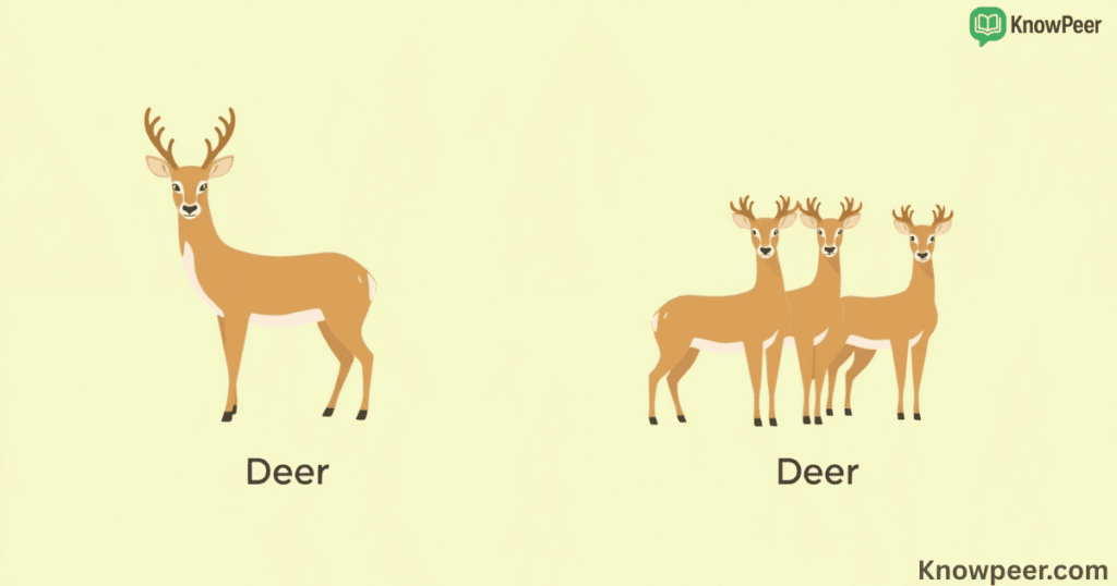 Plural of Deer