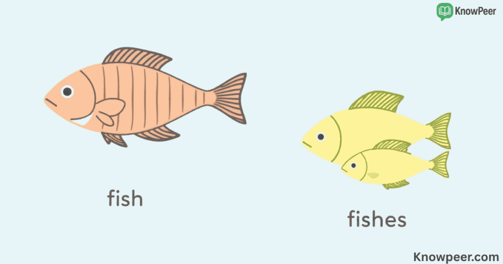 Plural of Fish