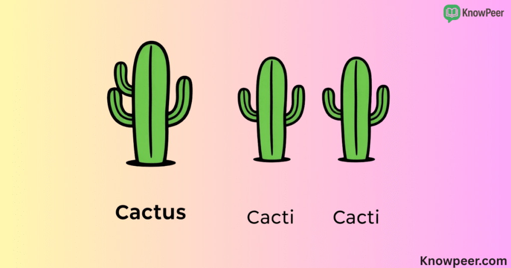Plural of Cactus