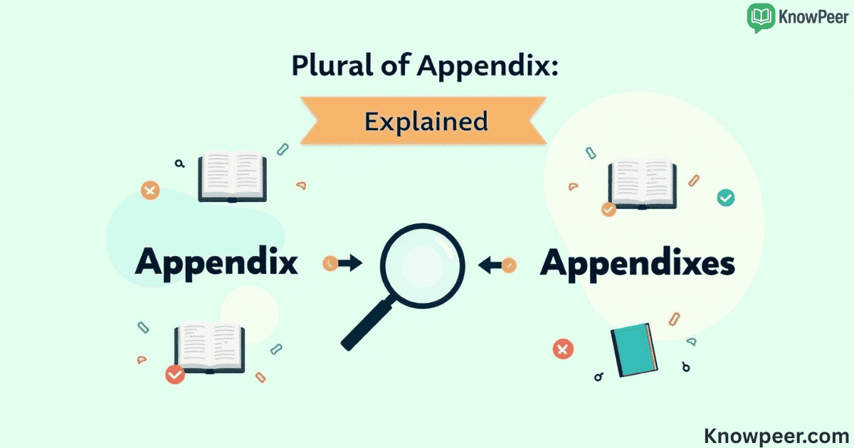 Plural of Appendix