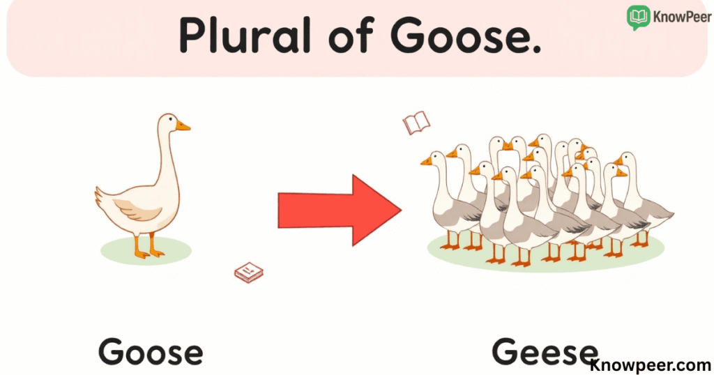 Plural of Goose