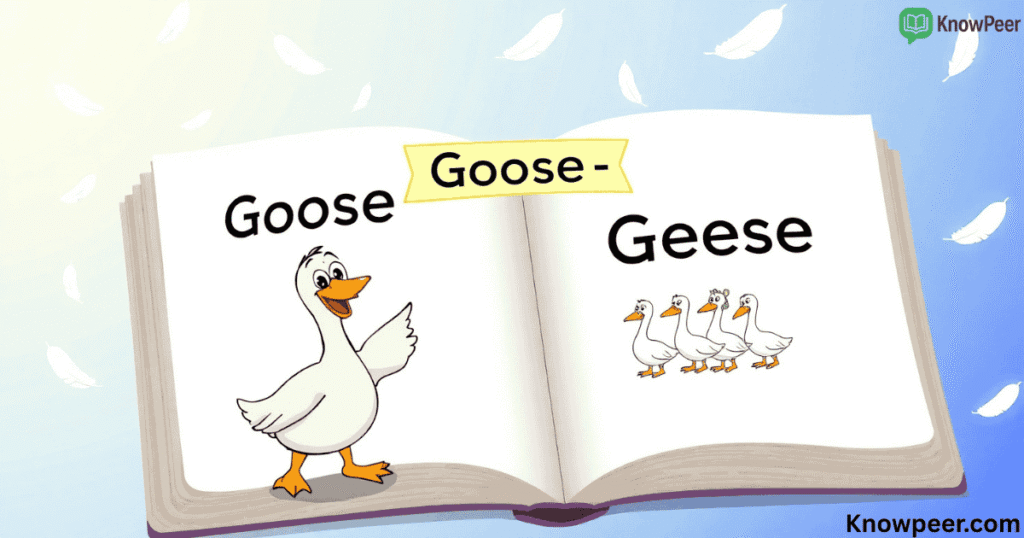 Plural of Goose