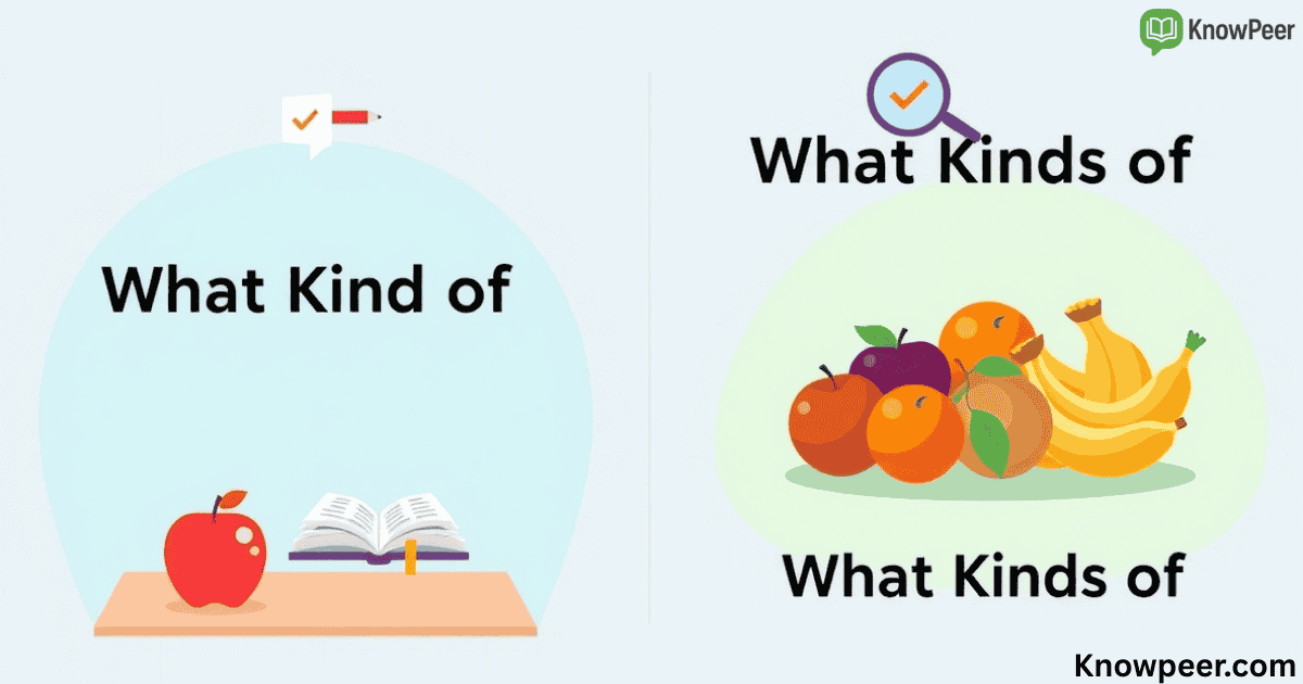 What Kind of vs. What Kinds of