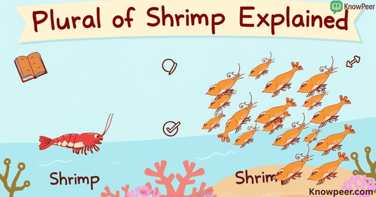 Plural of Shrimp