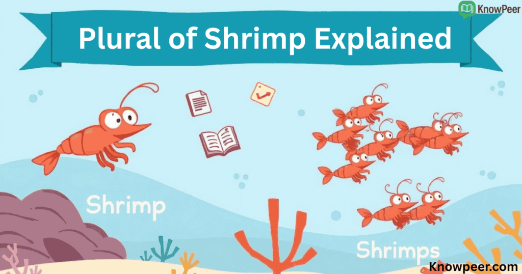 Plural of Shrimp