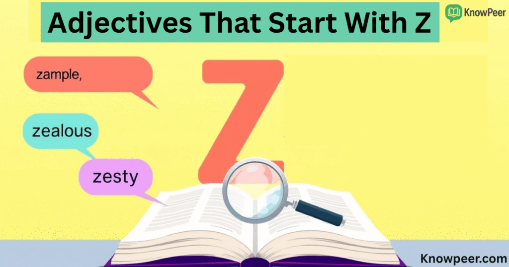 Adjectives That Start With Z